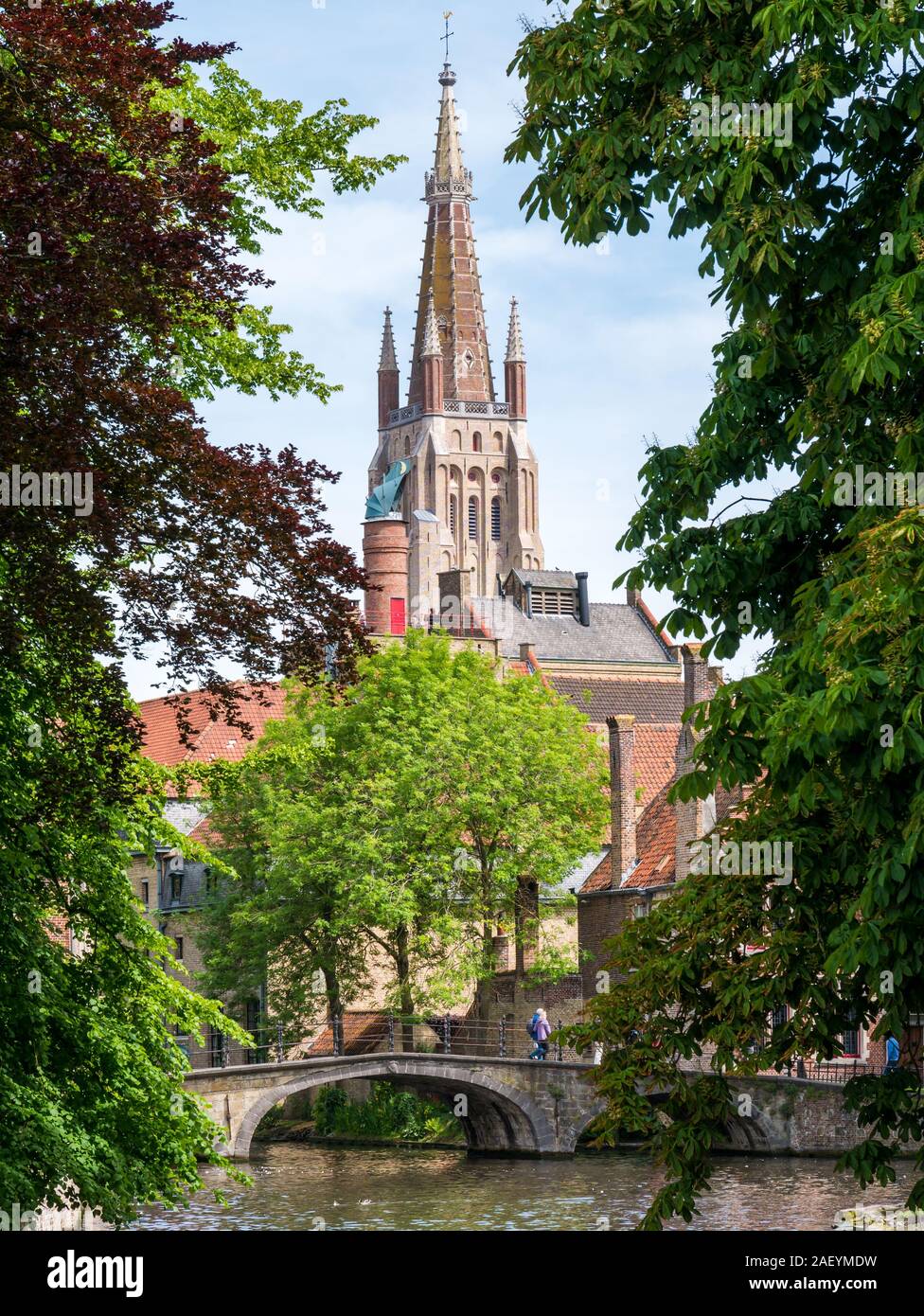Wijngaard ponte sul canal grande e la torre della chiesa di Nostra Signora, Onze-Lieve-Vrouwekerk, a Bruges, Fiandre Occidentali, Belgio Foto Stock