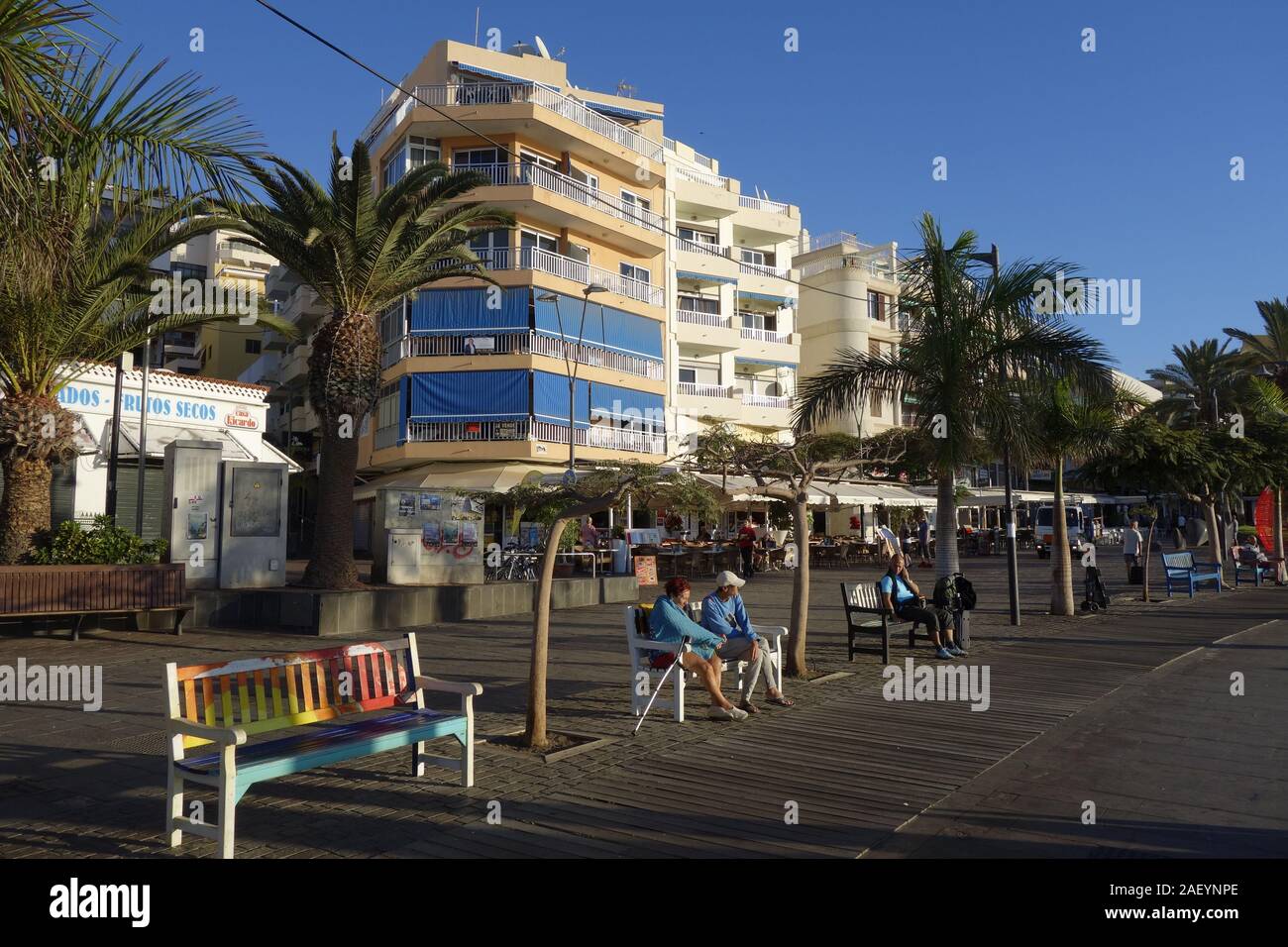 Tenerife, Isole canarie, un isola spagnola, Spagna,al largo della costa del nord Africa occidentale. Foto Stock