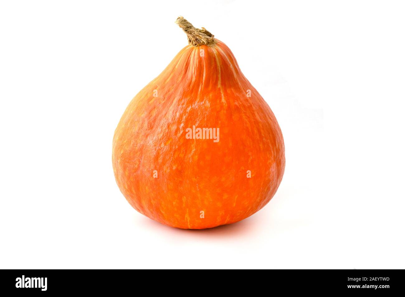 Hokkaido zucca su sfondo bianco Foto Stock