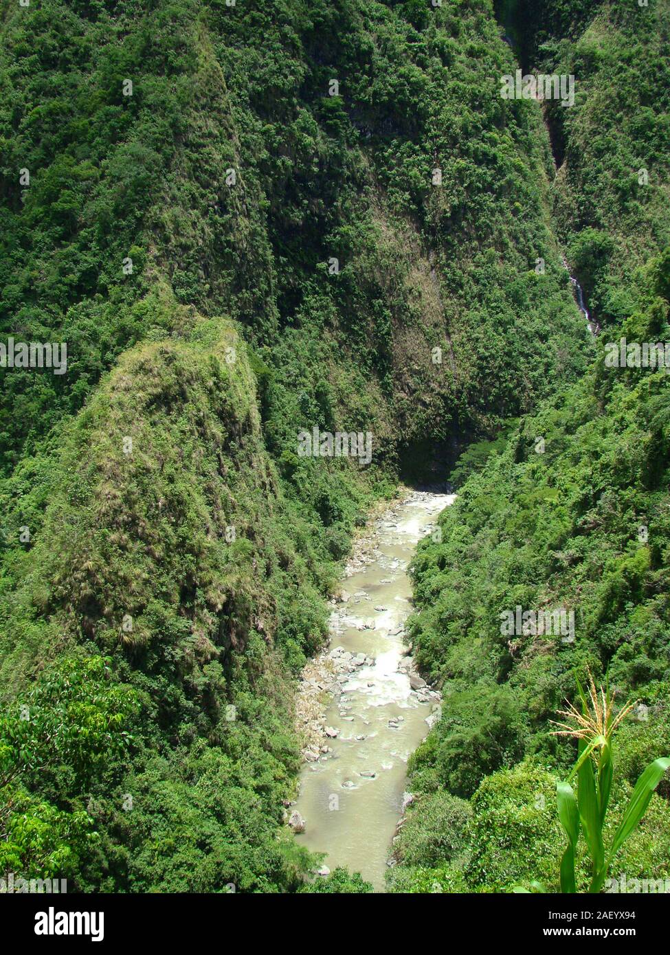 Tappiyah (Tappayah) cascata nella zona di montagna vicino a Batad (nord di Luzon, Filippine) Foto Stock