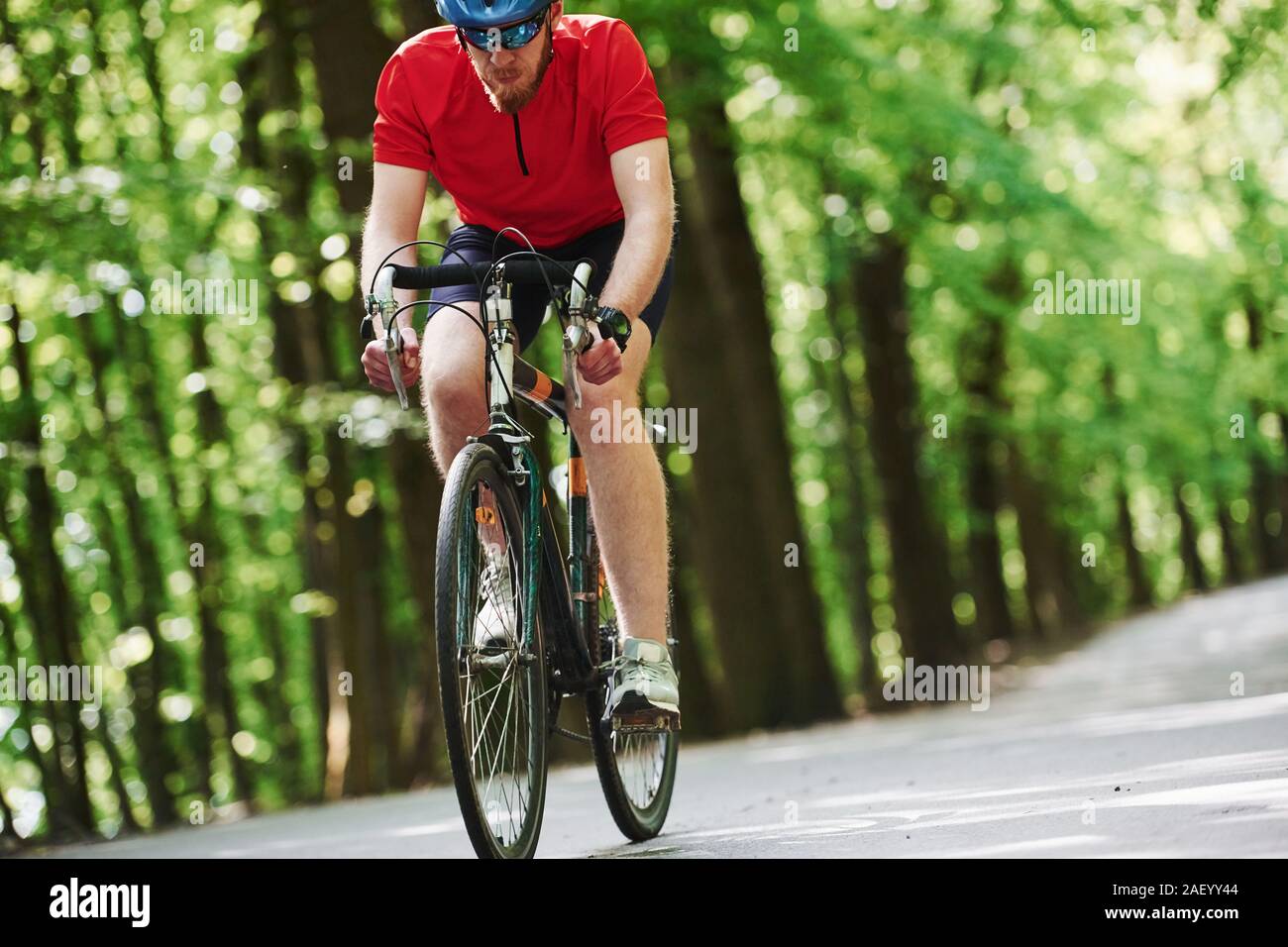 Look concentrato. Ciclista in sella a una moto è sulla strada asfaltata nel bosco al giorno di sole Foto Stock