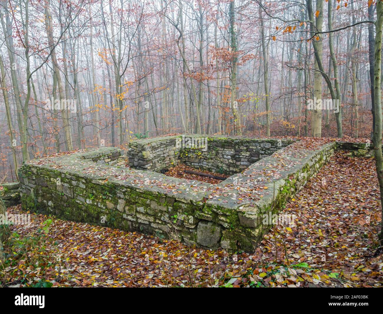 Rovine del Castello Wittekindsburg vicino Rulle, Osnabrueck-Land, Bassa Sassonia, Germania, la torre a pianta rettangolare del castello del duca di Widukind. Foto Stock