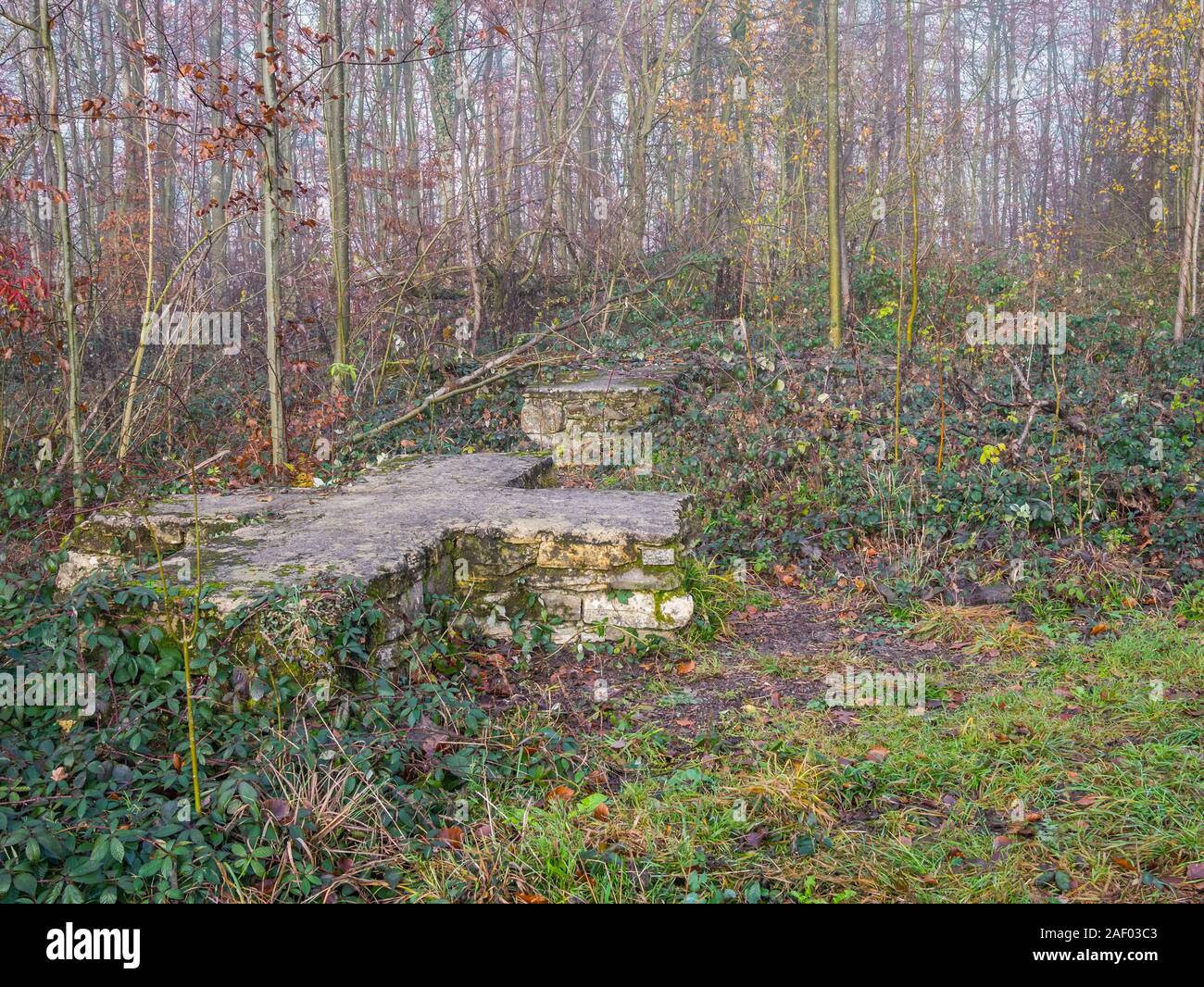 Rovine del Castello Wittekindsburg vicino Rulle, Osnabrueck-Land, Bassa Sassonia, Germania. Fondamento di una casa del castello. Foto Stock