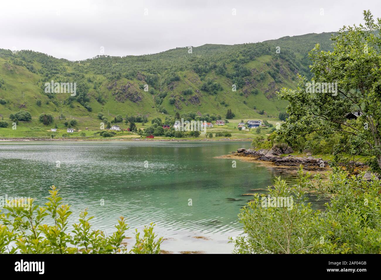Paesaggio del fiordo con acque chiare di ingresso con distanziati case sulla costa verde , girato nel luminoso Nuvoloso luce a Raften, Vesteralen, Norvegia Foto Stock