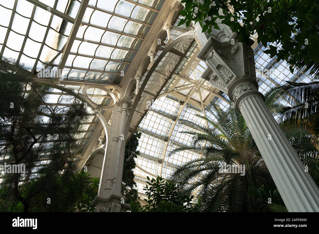 AUSTRIA, VIENNA - 4 dicembre 2019: interni con il vetro metallico struttura del soffitto della casa delle palme del giardino botanico al Palazzo di Schonbrunn Foto Stock