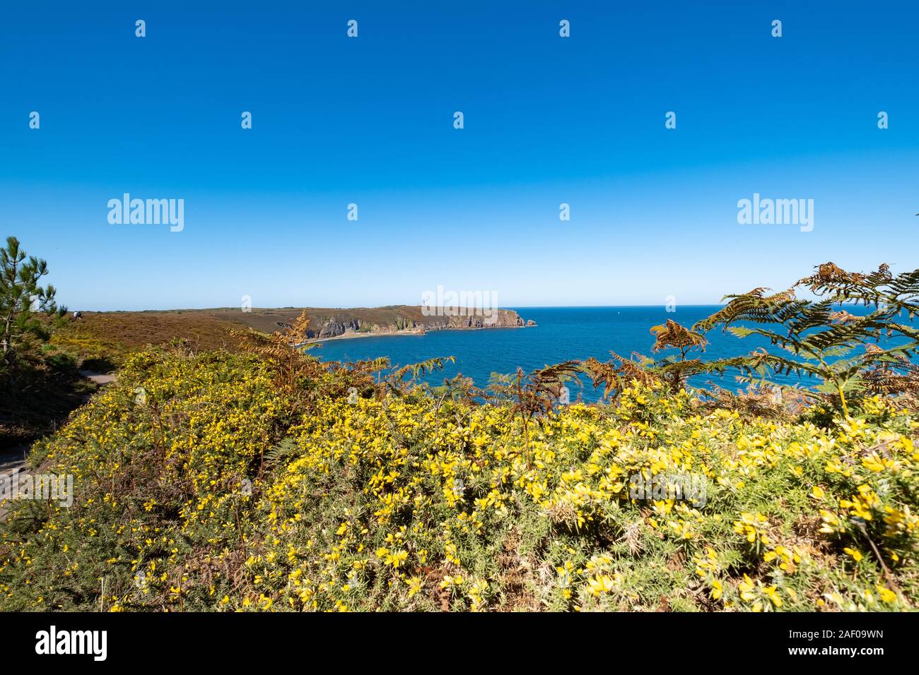 Corsa sulla GR34 in Bretagna con fino a largo di Capo Frehel e il suo faro Foto Stock