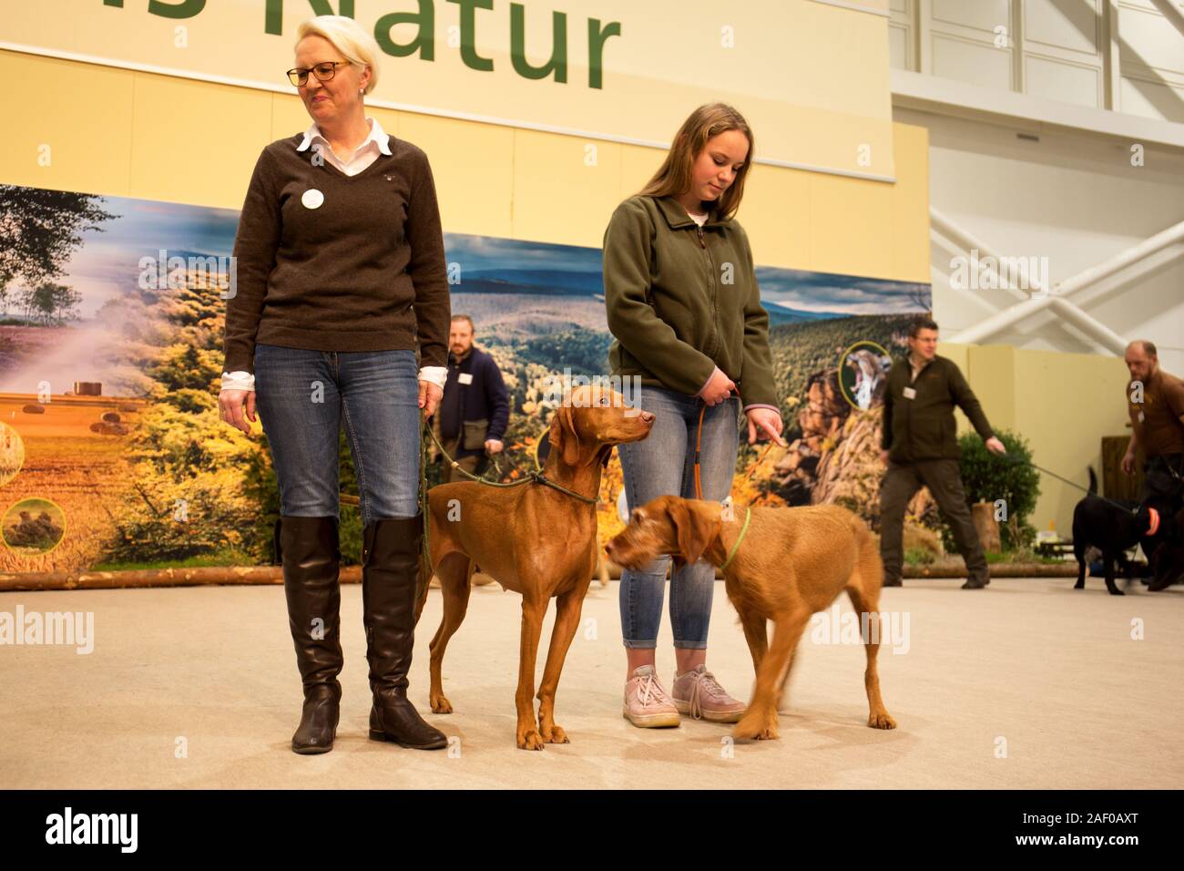 Impressioni di hunt fiera di Hannover bassa Sassonia Germania il 6 dicembre 2019 Foto Stock