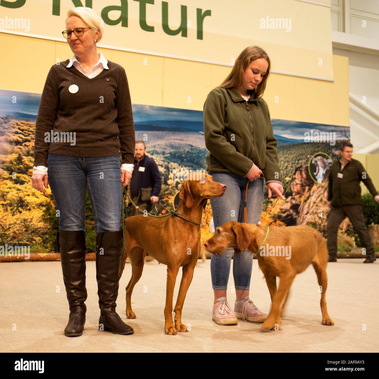Impressioni di hunt fiera di Hannover bassa Sassonia Germania il 6 dicembre 2019 Foto Stock