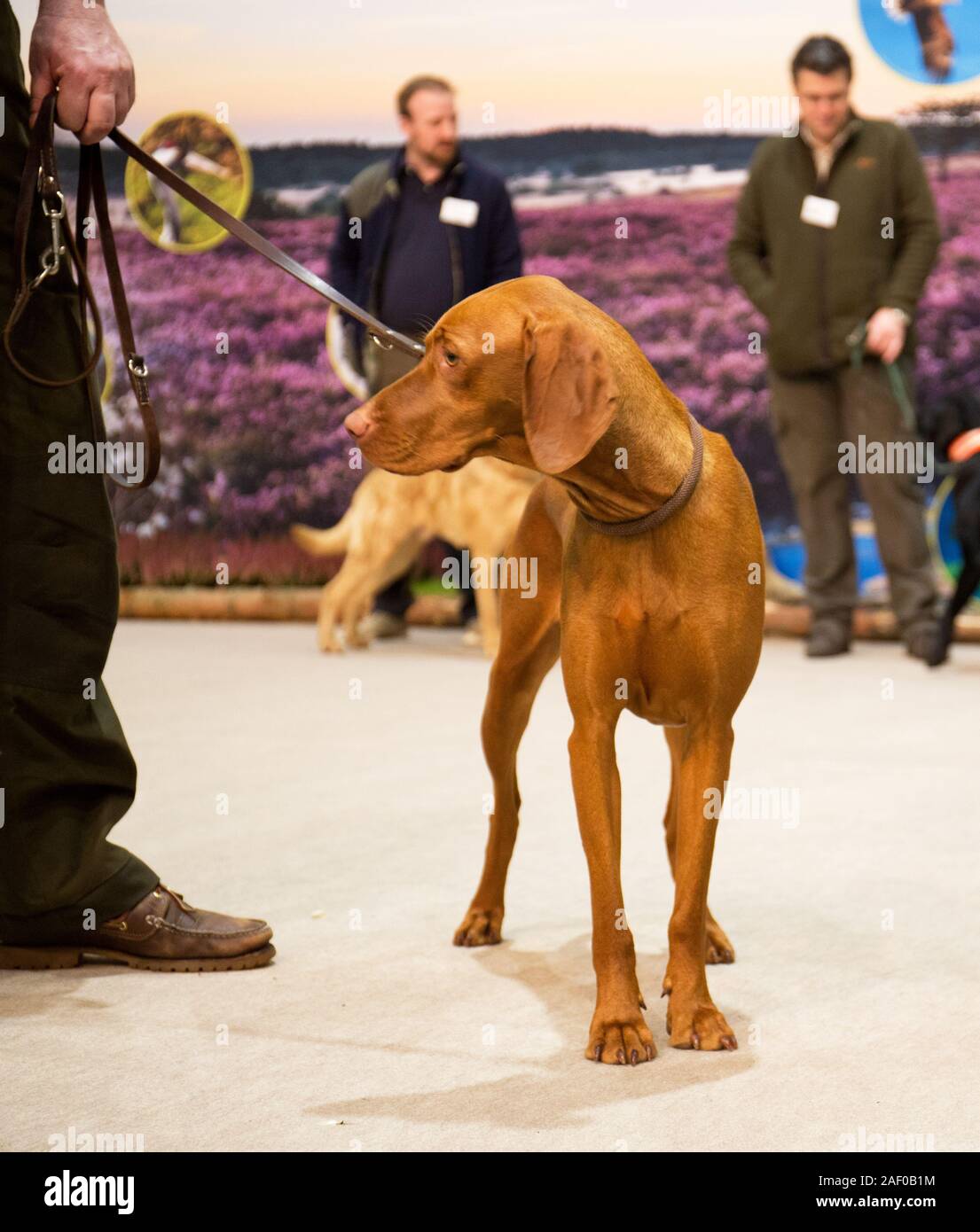 Impressioni di hunt fiera di Hannover bassa Sassonia Germania il 6 dicembre 2019 Foto Stock