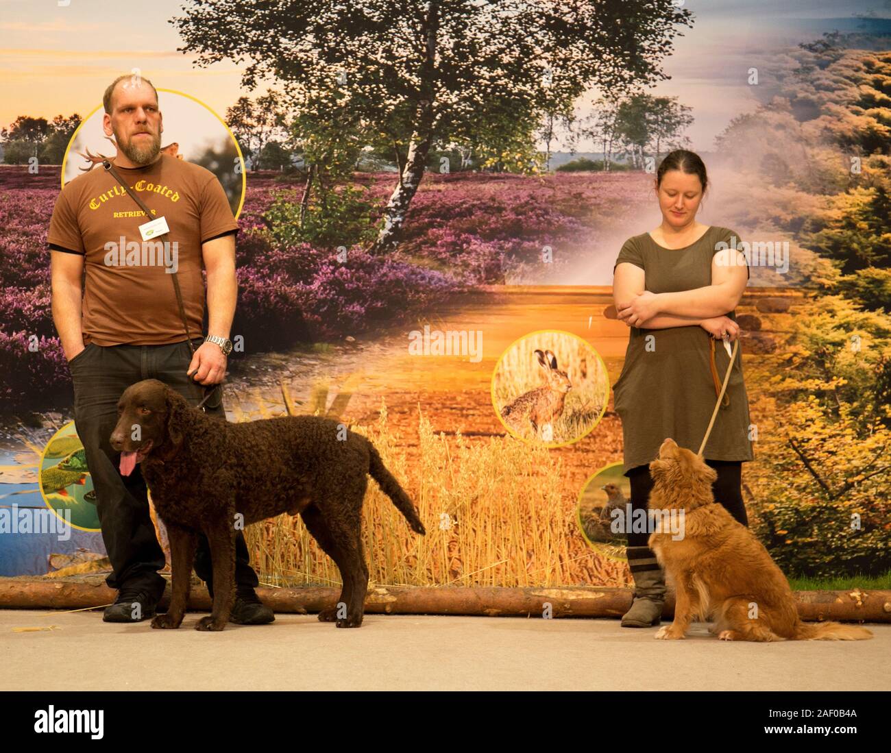 Impressioni di hunt fiera di Hannover bassa Sassonia Germania il 6 dicembre 2019 Foto Stock