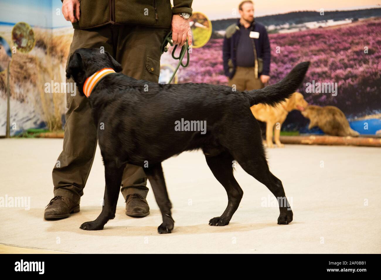Impressioni di hunt fiera di Hannover bassa Sassonia Germania il 6 dicembre 2019 Foto Stock