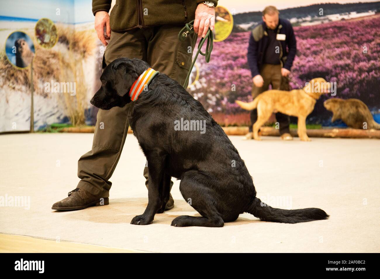 Impressioni di hunt fiera di Hannover bassa Sassonia Germania il 6 dicembre 2019 Foto Stock