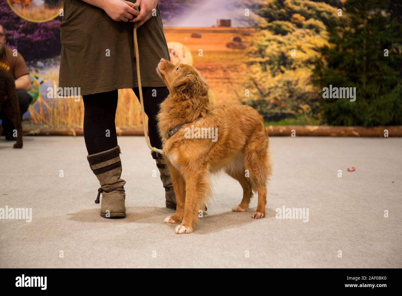 Impressioni di hunt fiera di Hannover bassa Sassonia Germania il 6 dicembre 2019 Foto Stock