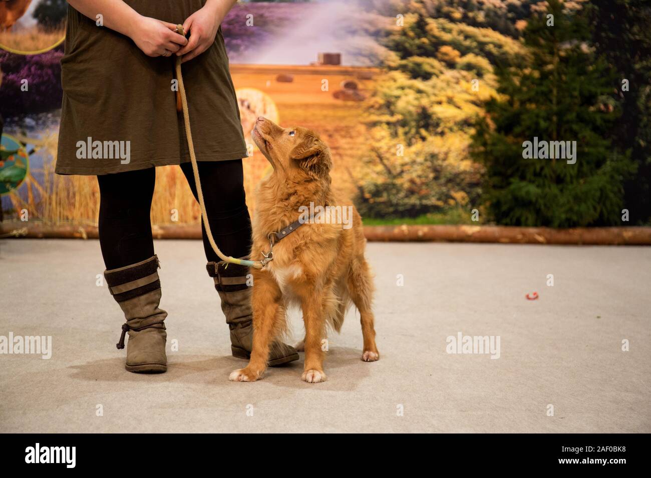 Impressioni di hunt fiera di Hannover bassa Sassonia Germania il 6 dicembre 2019 Foto Stock