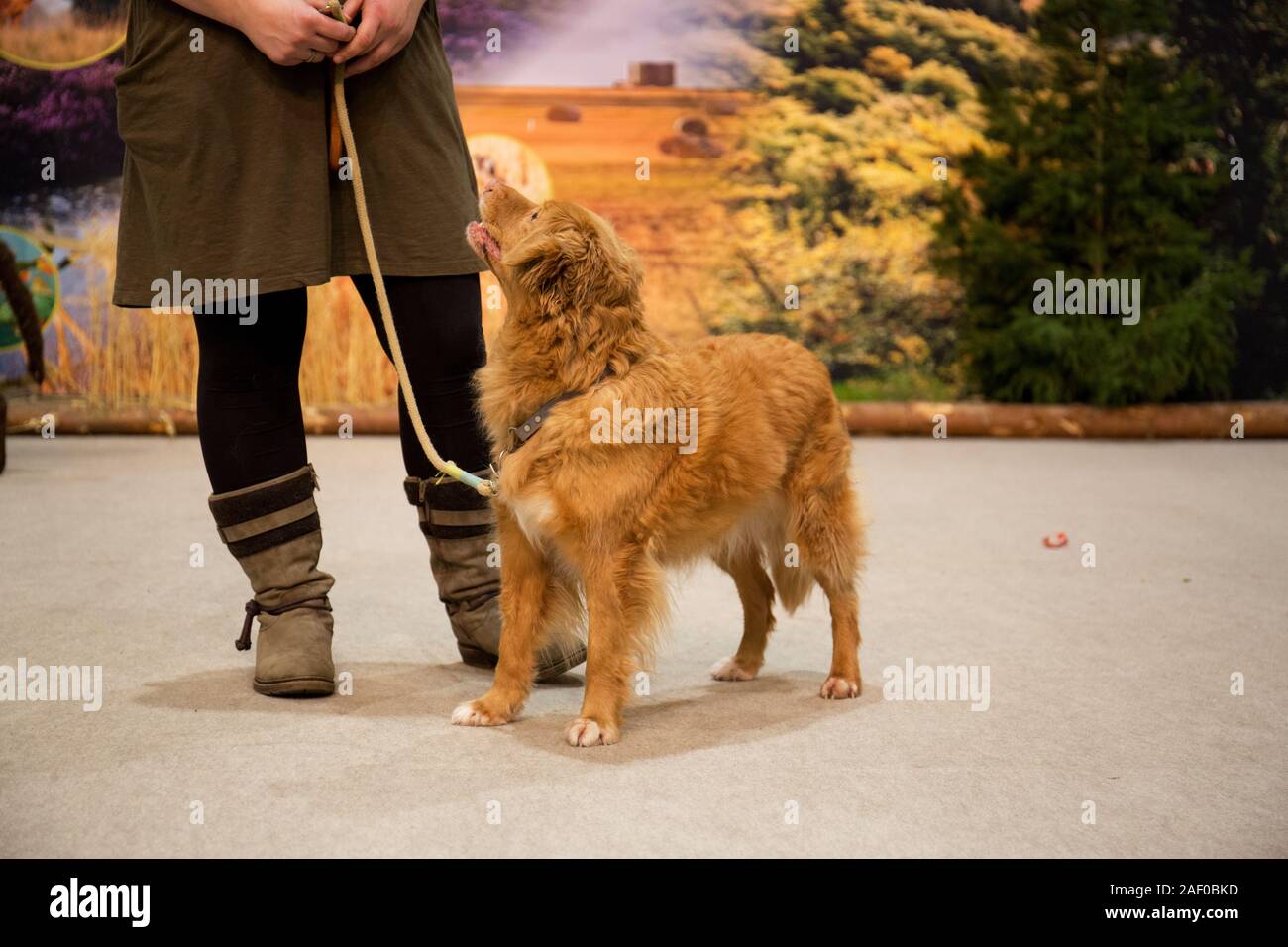 Impressioni di hunt fiera di Hannover bassa Sassonia Germania il 6 dicembre 2019 Foto Stock