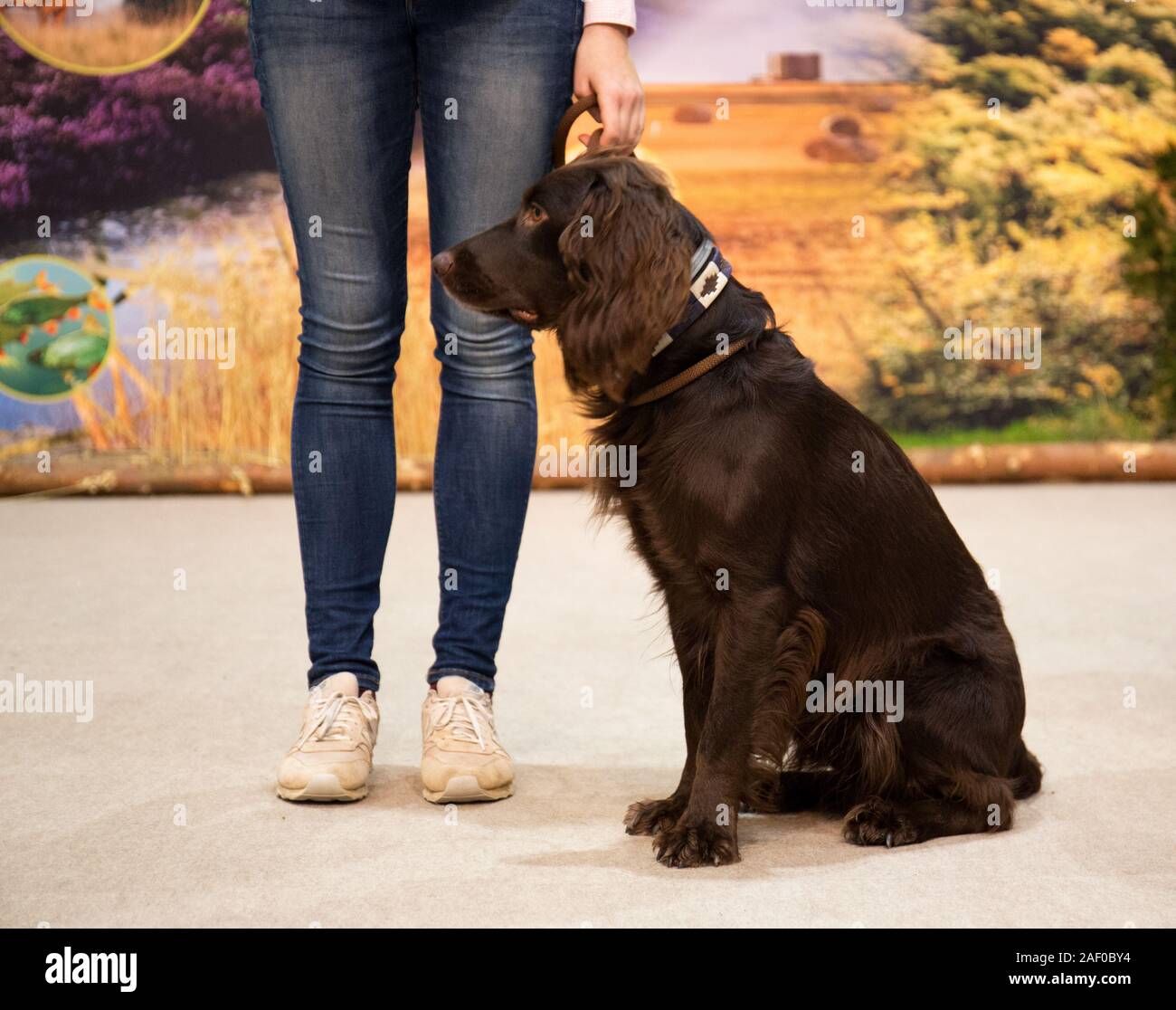 Impressioni di hunt fiera di Hannover bassa Sassonia Germania il 6 dicembre 2019 Foto Stock