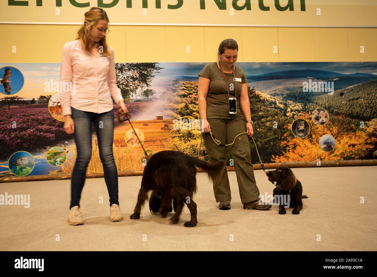Impressioni di hunt fiera di Hannover bassa Sassonia Germania il 6 dicembre 2019 Foto Stock
