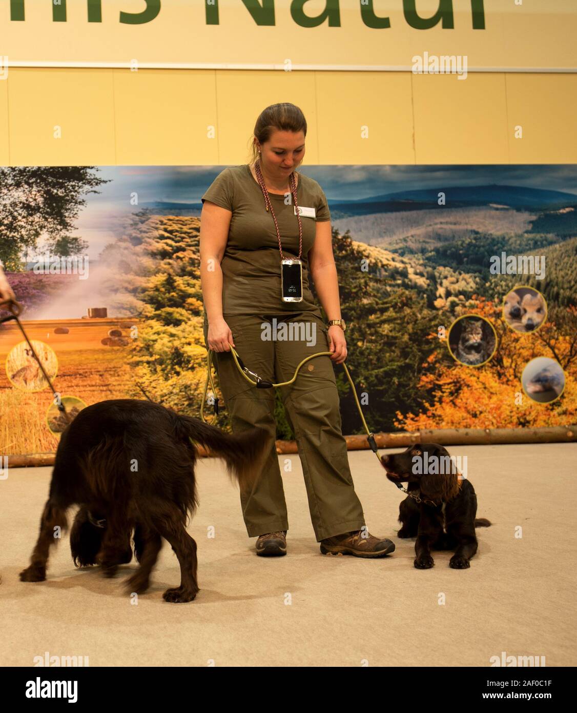 Impressioni di hunt fiera di Hannover bassa Sassonia Germania il 6 dicembre 2019 Foto Stock