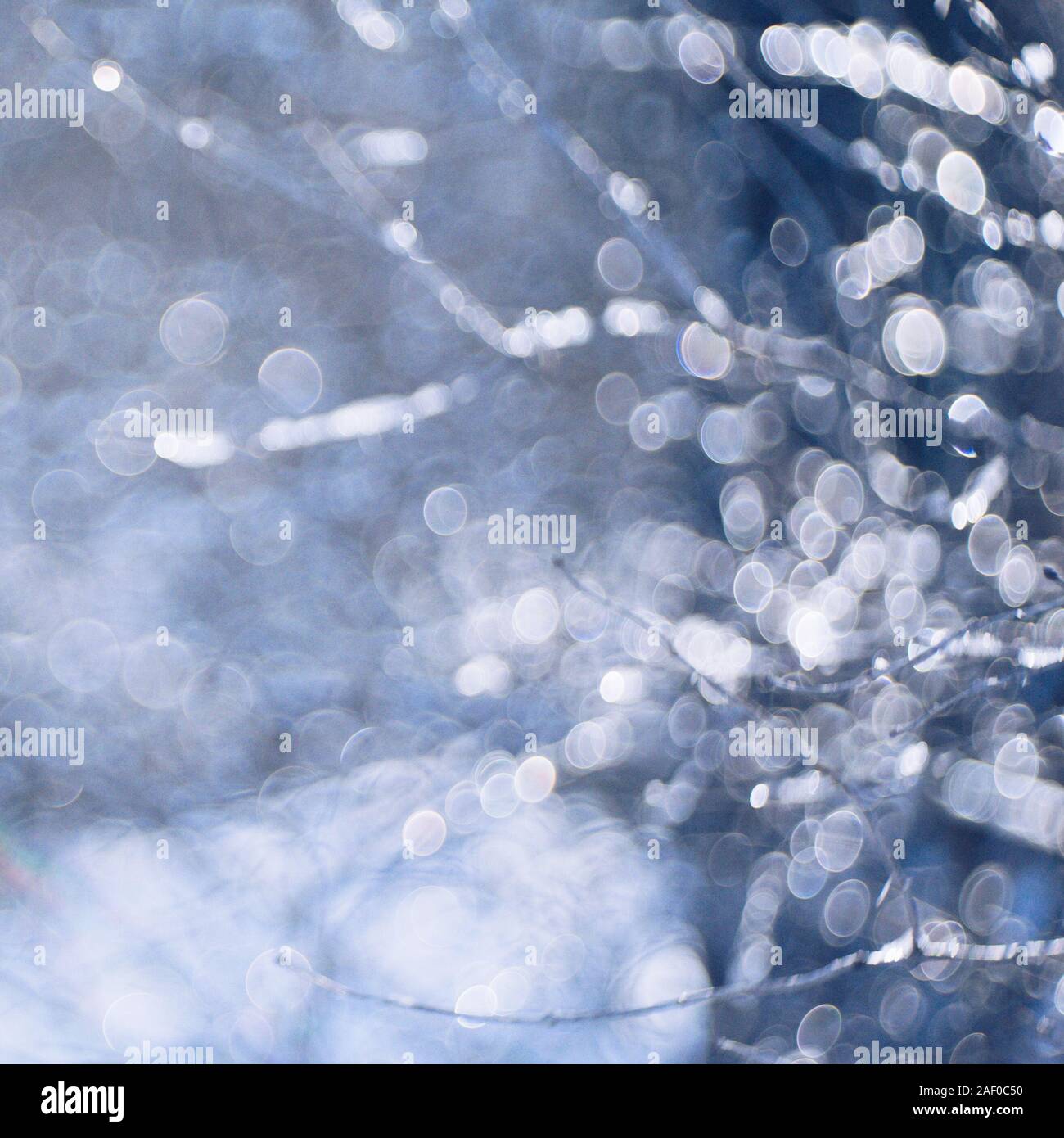 Sfocato winter card, rami di alberi coperti di ghiaccio closeup. Foto Stock