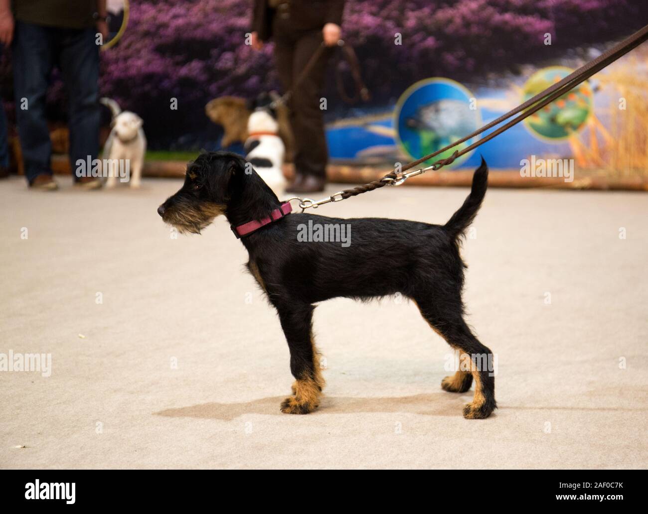 Impressioni di hunt fiera di Hannover bassa Sassonia Germania il 6 dicembre 2019 Foto Stock