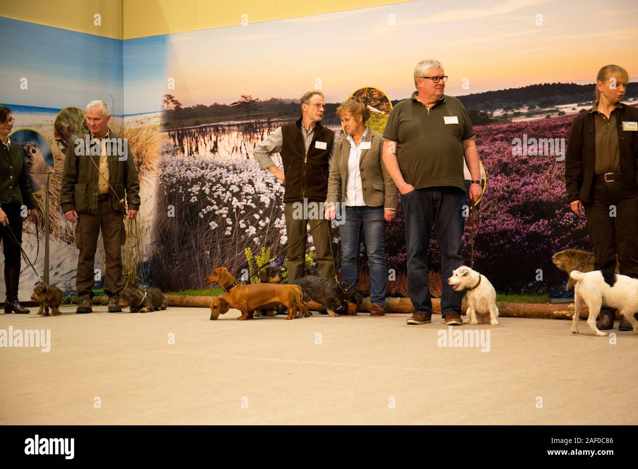 Impressioni di hunt fiera di Hannover bassa Sassonia Germania il 6 dicembre 2019 Foto Stock