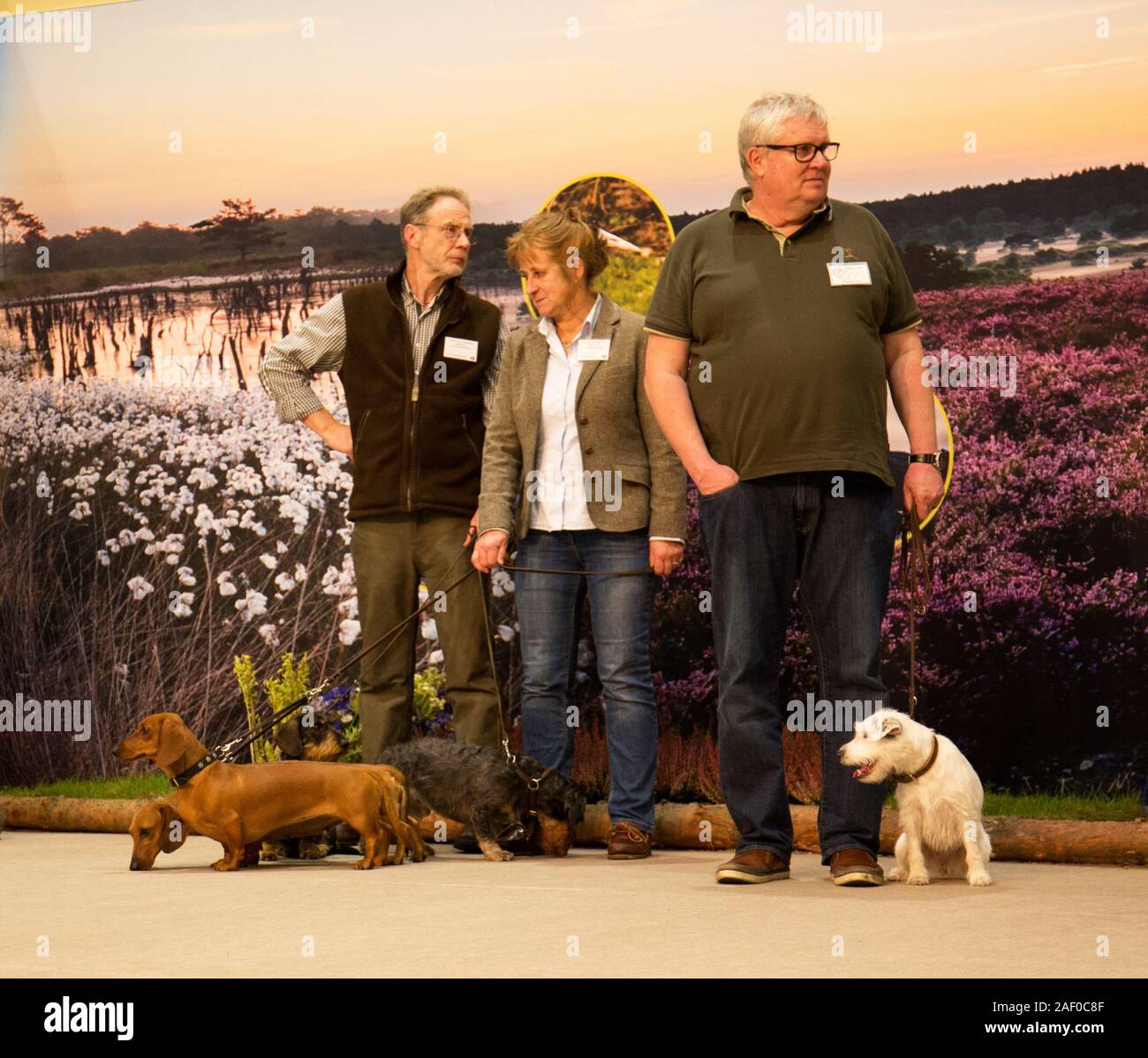 Impressioni di hunt fiera di Hannover bassa Sassonia Germania il 6 dicembre 2019 Foto Stock