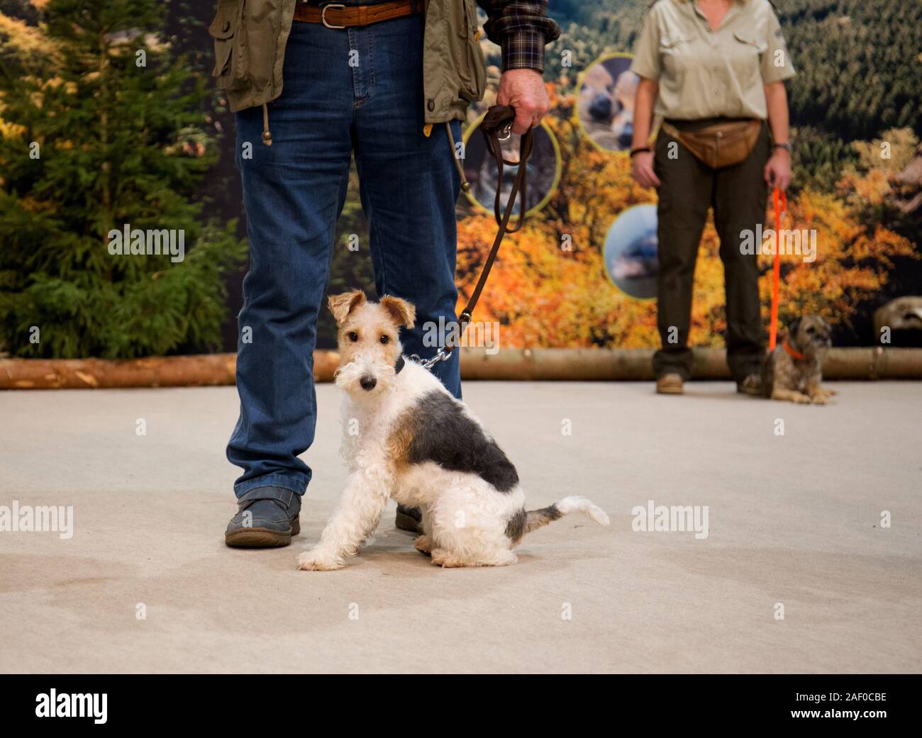 Impressioni di hunt fiera di Hannover bassa Sassonia Germania il 6 dicembre 2019 Foto Stock