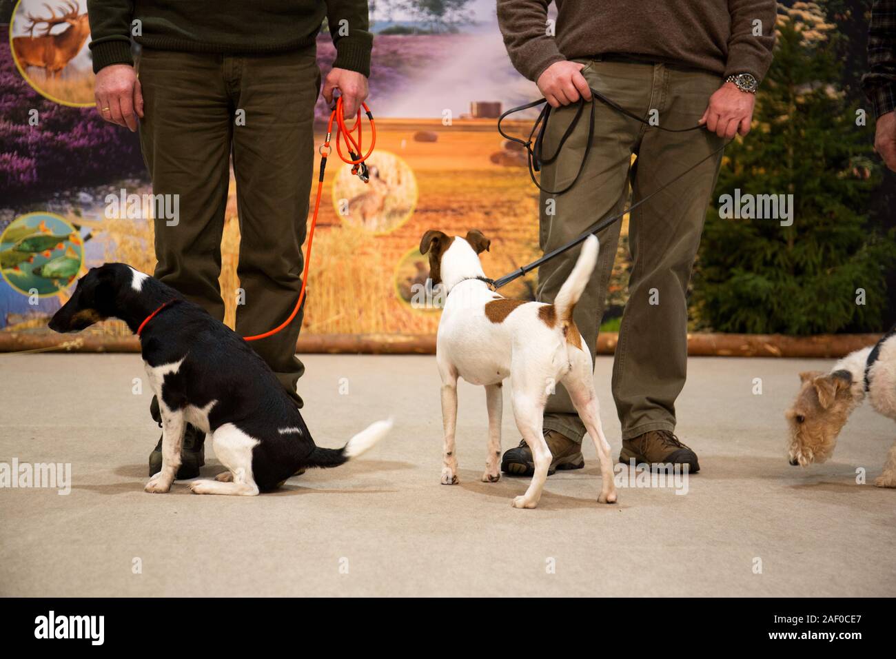 Impressioni di hunt fiera di Hannover bassa Sassonia Germania il 6 dicembre 2019 Foto Stock