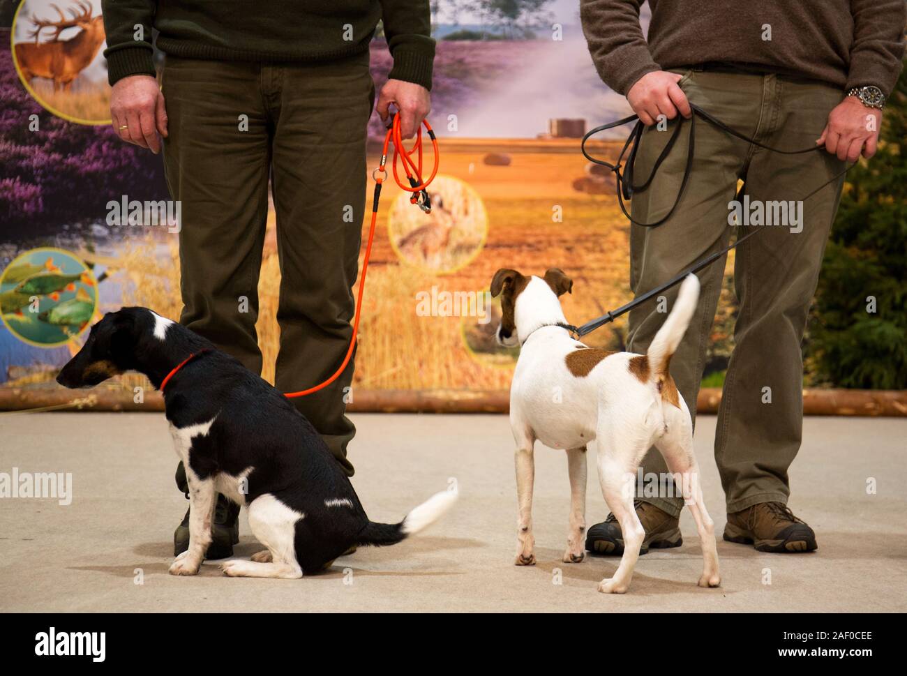 Impressioni di hunt fiera di Hannover bassa Sassonia Germania il 6 dicembre 2019 Foto Stock