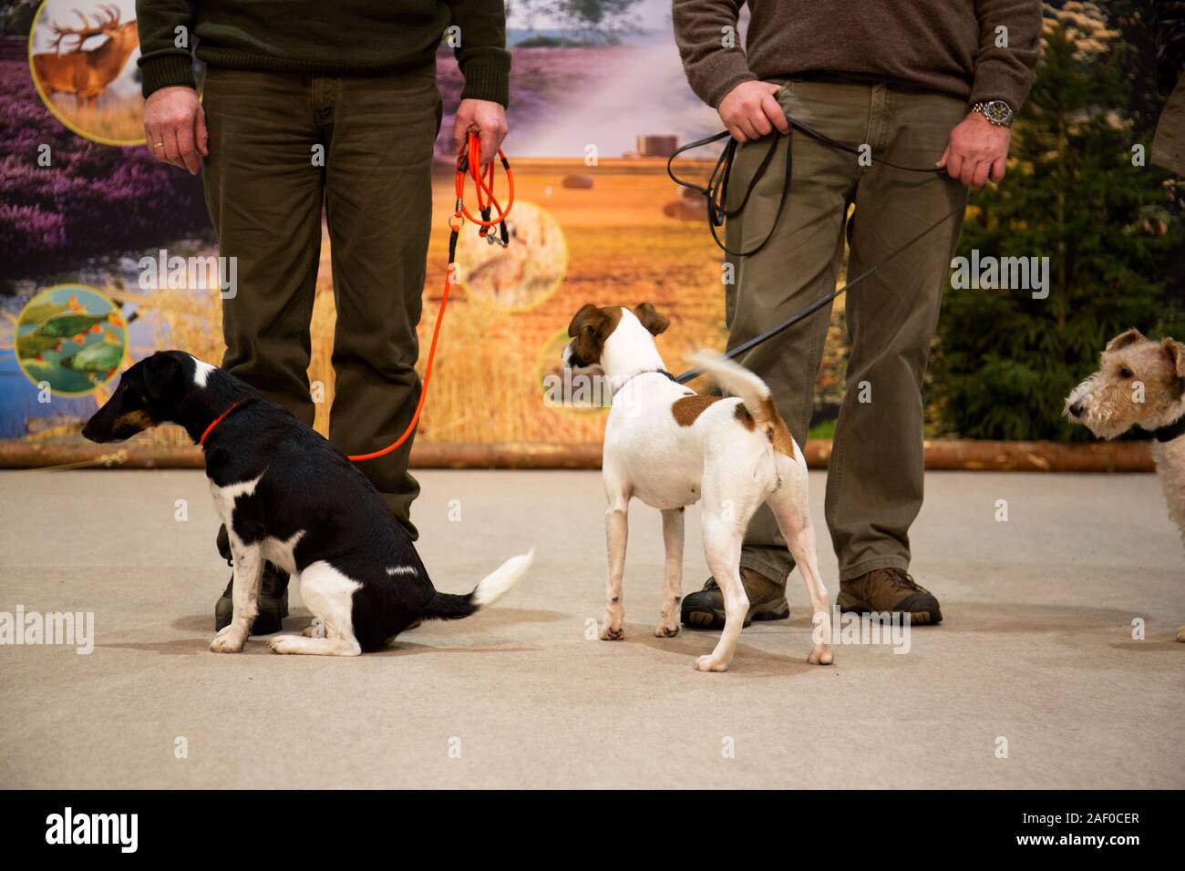 Impressioni di hunt fiera di Hannover bassa Sassonia Germania il 6 dicembre 2019 Foto Stock