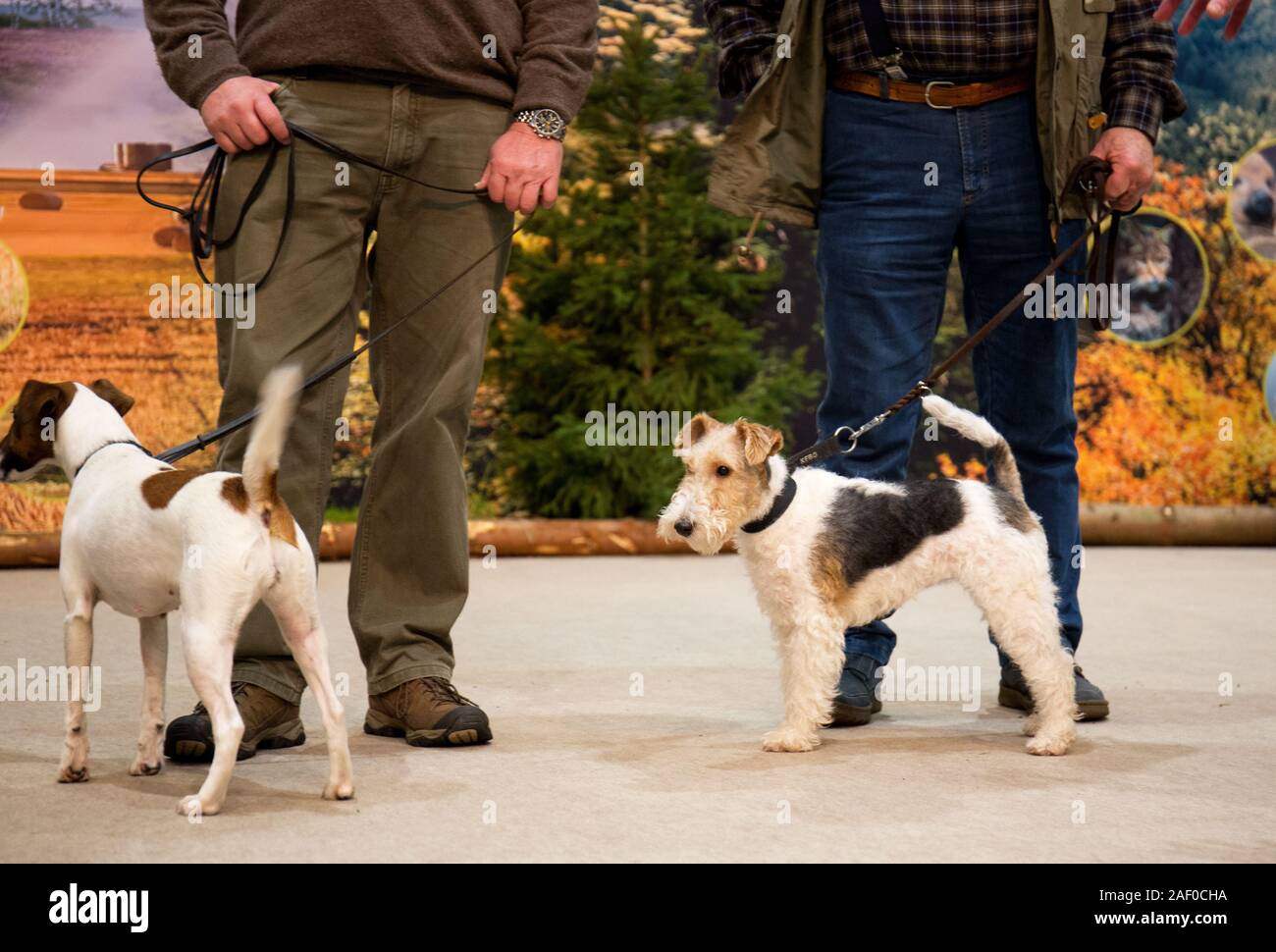 Impressioni di hunt fiera di Hannover bassa Sassonia Germania il 6 dicembre 2019 Foto Stock