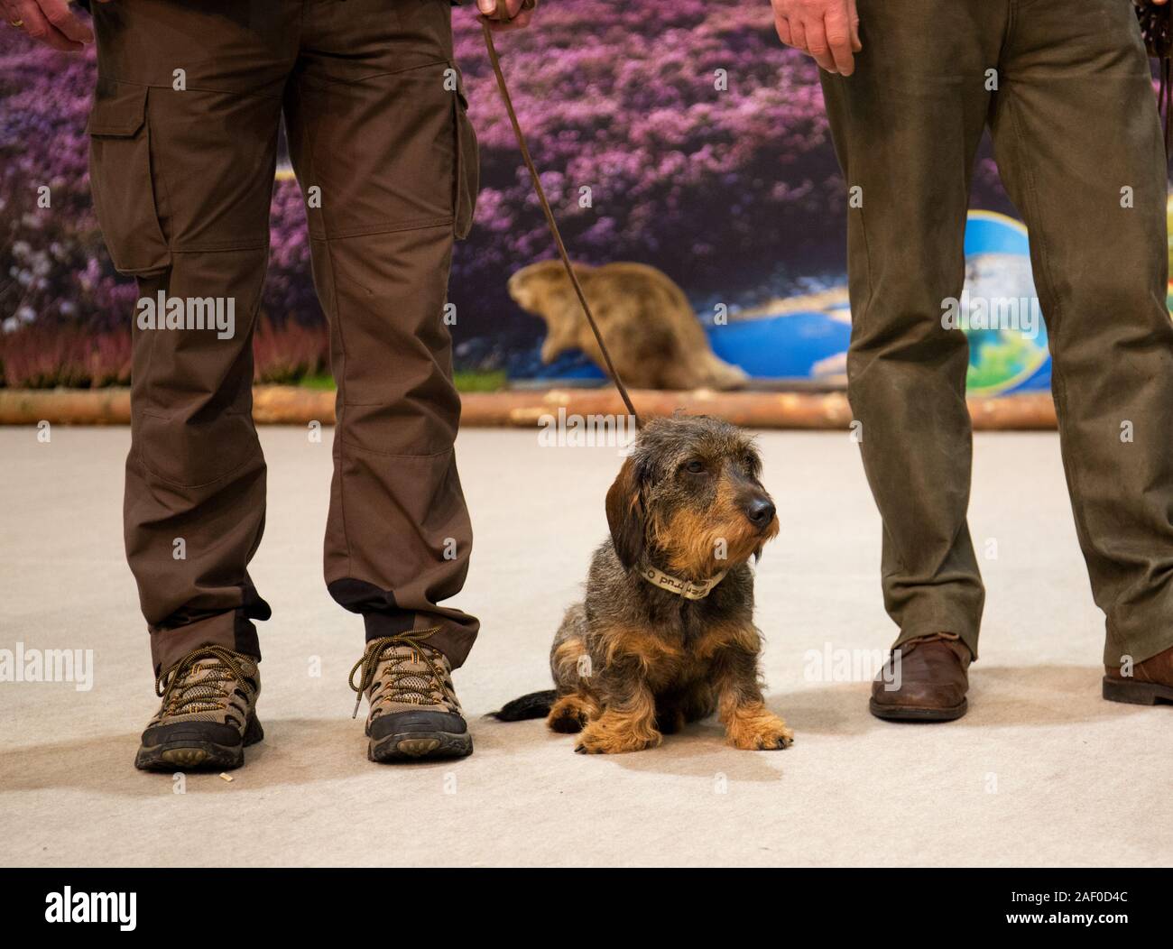 Impressioni di hunt fiera di Hannover bassa Sassonia Germania il 6 dicembre 2019 Foto Stock