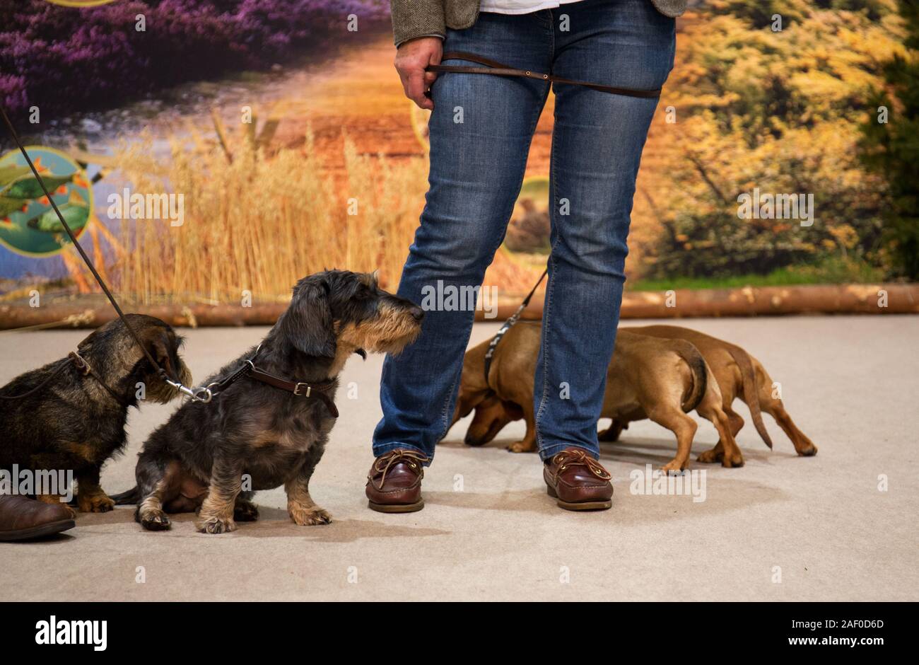 Impressioni di hunt fiera di Hannover bassa Sassonia Germania il 6 dicembre 2019 Foto Stock