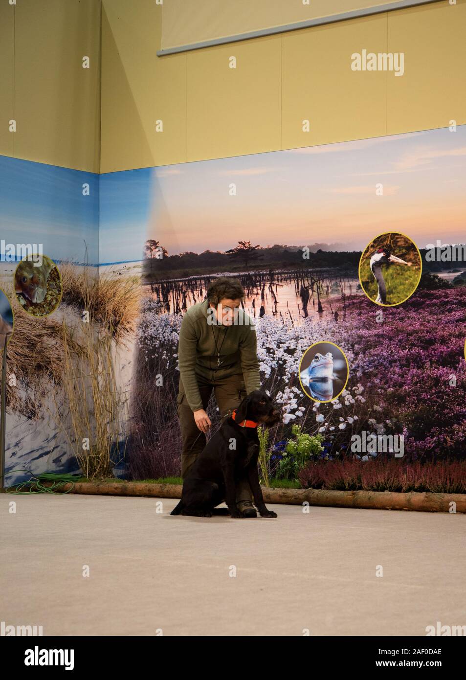 Impressioni di hunt fiera di Hannover bassa Sassonia Germania il 6 dicembre 2019 Foto Stock