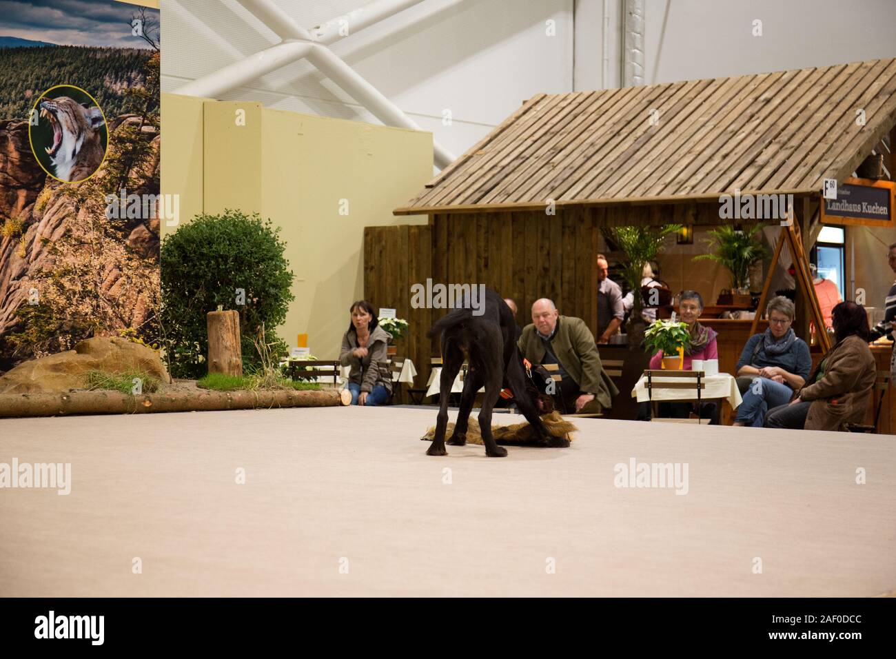 Impressioni di hunt fiera di Hannover bassa Sassonia Germania il 6 dicembre 2019 Foto Stock