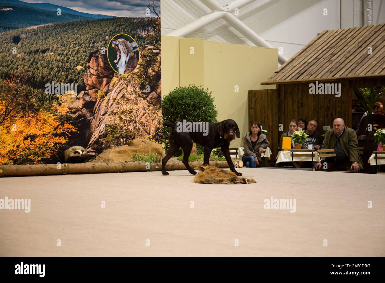 Impressioni di hunt fiera di Hannover bassa Sassonia Germania il 6 dicembre 2019 Foto Stock