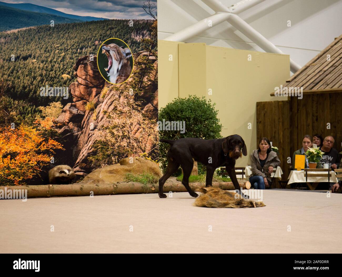 Impressioni di hunt fiera di Hannover bassa Sassonia Germania il 6 dicembre 2019 Foto Stock