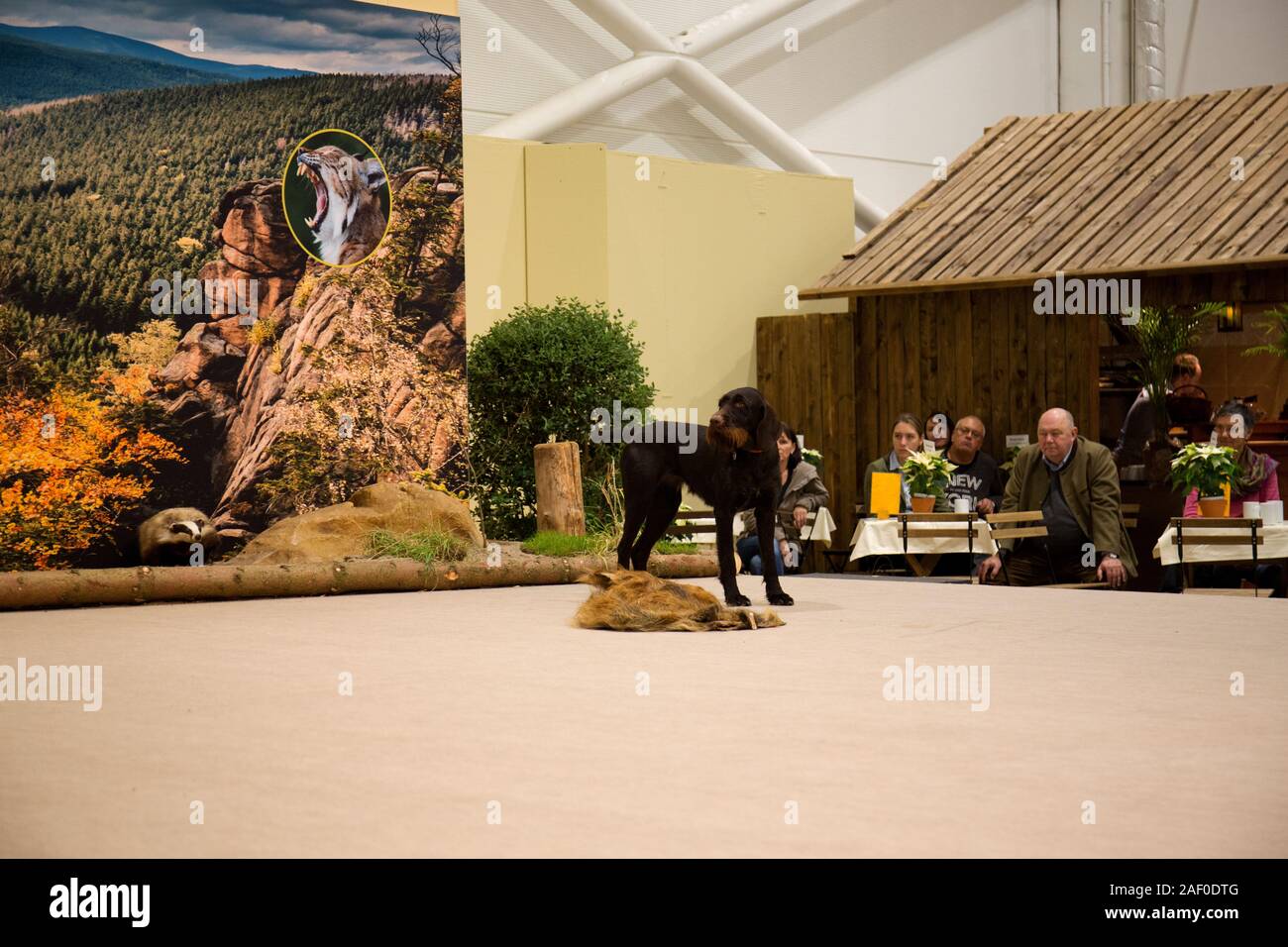 Impressioni di hunt fiera di Hannover bassa Sassonia Germania il 6 dicembre 2019 Foto Stock