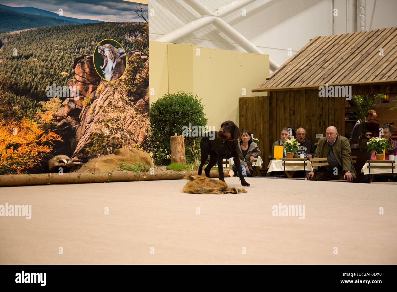 Impressioni di hunt fiera di Hannover bassa Sassonia Germania il 6 dicembre 2019 Foto Stock