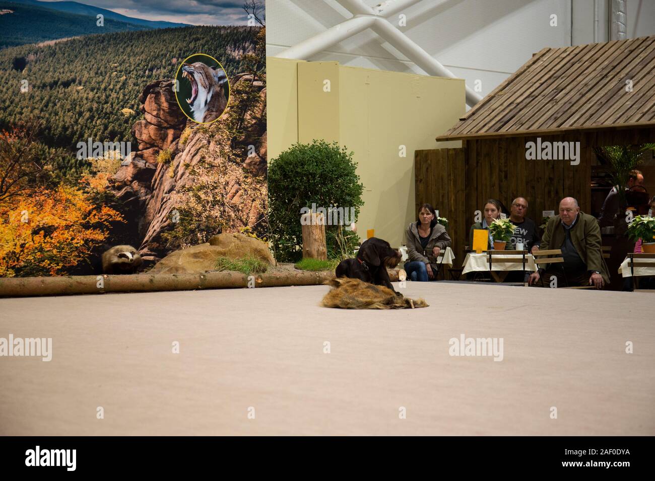 Impressioni di hunt fiera di Hannover bassa Sassonia Germania il 6 dicembre 2019 Foto Stock