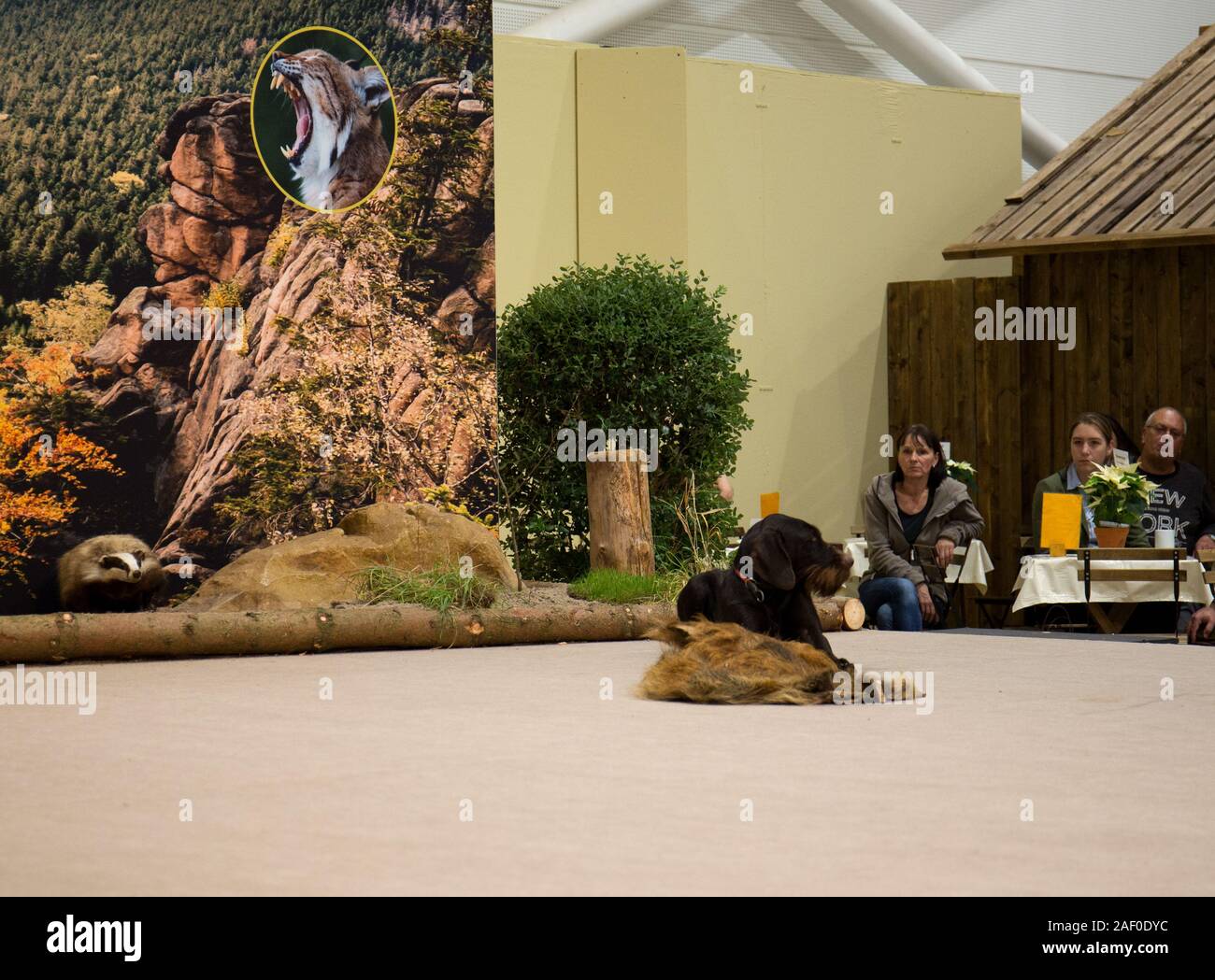 Impressioni di hunt fiera di Hannover bassa Sassonia Germania il 6 dicembre 2019 Foto Stock