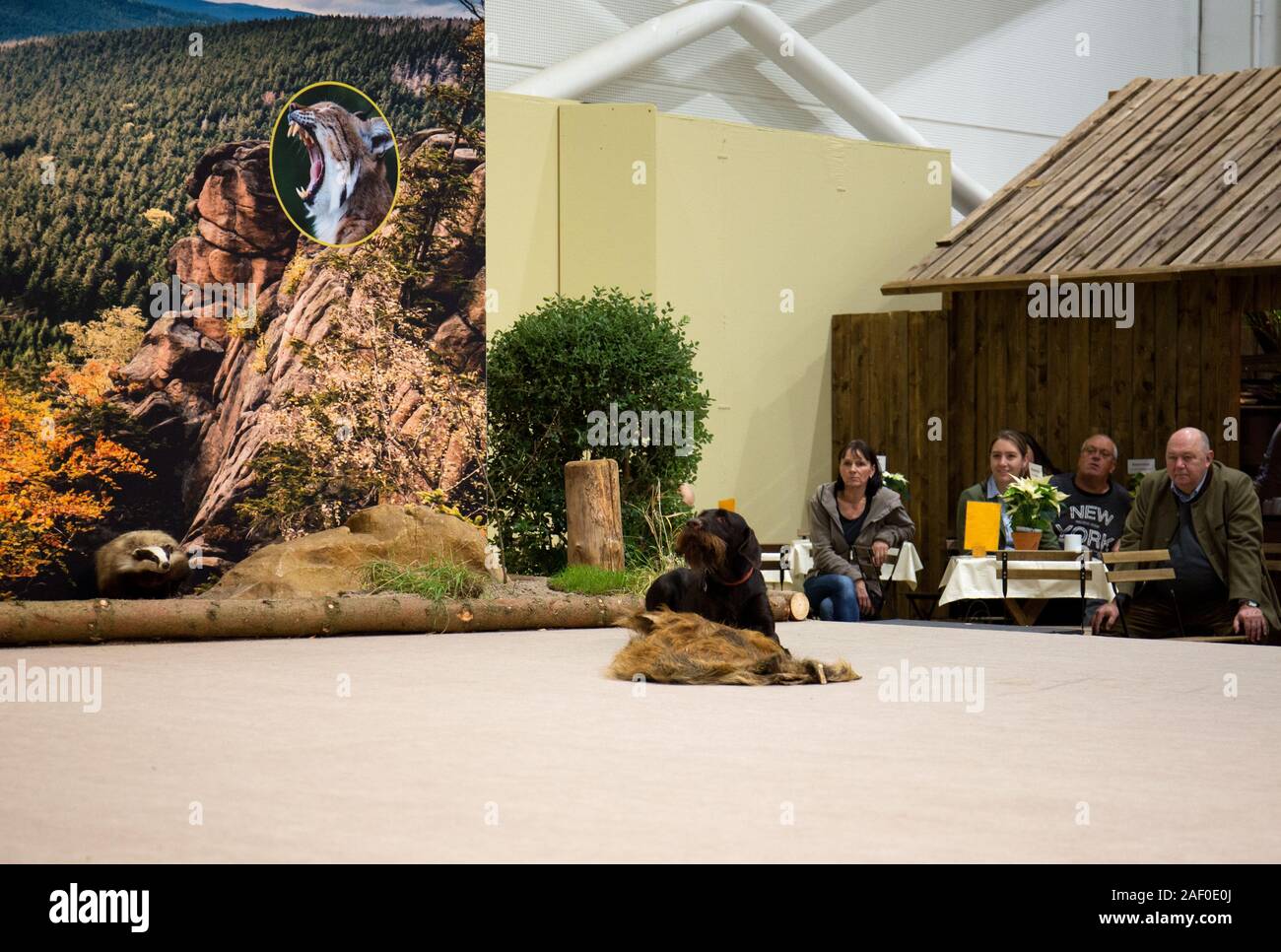 Impressioni di hunt fiera di Hannover bassa Sassonia Germania il 6 dicembre 2019 Foto Stock