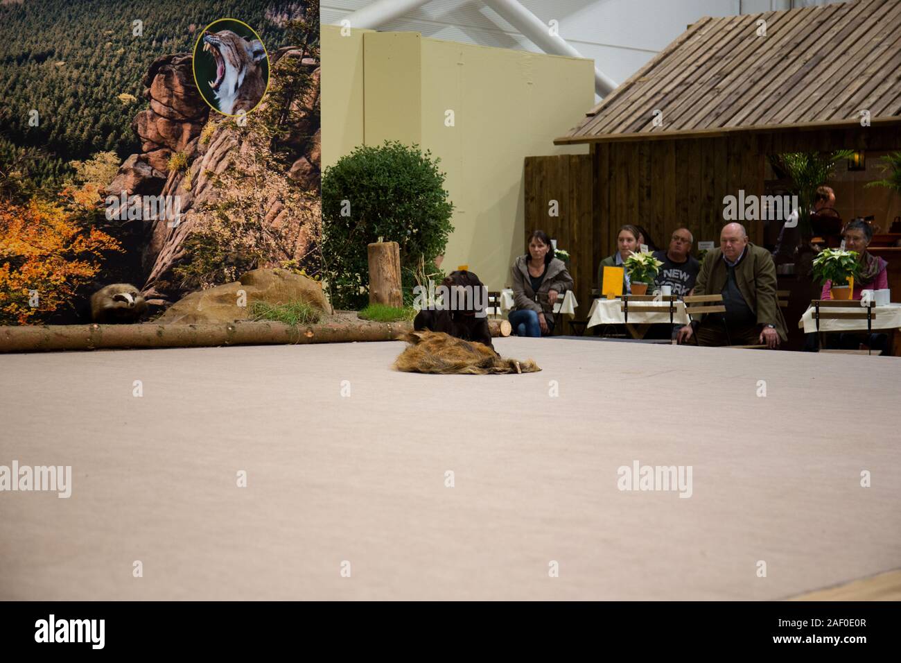 Impressioni di hunt fiera di Hannover bassa Sassonia Germania il 6 dicembre 2019 Foto Stock