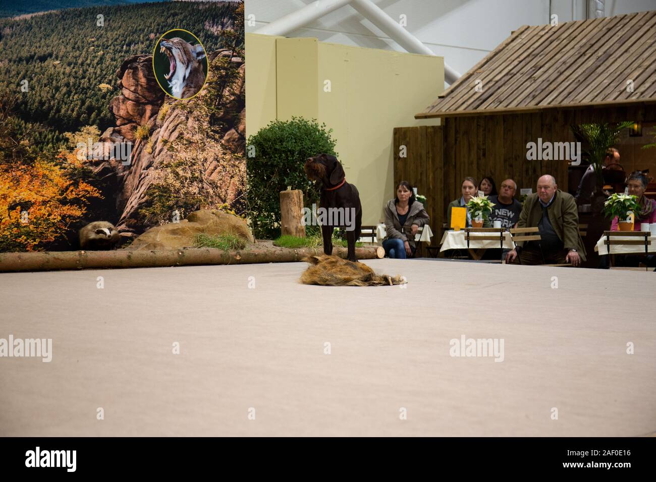 Impressioni di hunt fiera di Hannover bassa Sassonia Germania il 6 dicembre 2019 Foto Stock