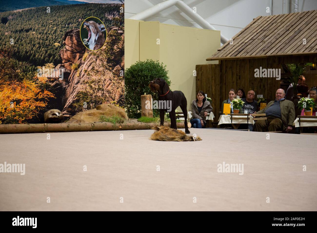 Impressioni di hunt fiera di Hannover bassa Sassonia Germania il 6 dicembre 2019 Foto Stock