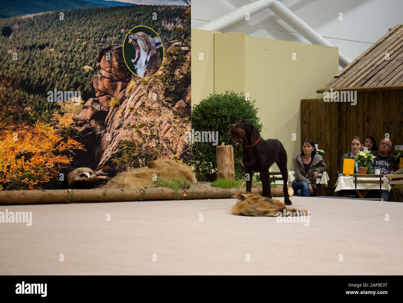 Impressioni di hunt fiera di Hannover bassa Sassonia Germania il 6 dicembre 2019 Foto Stock