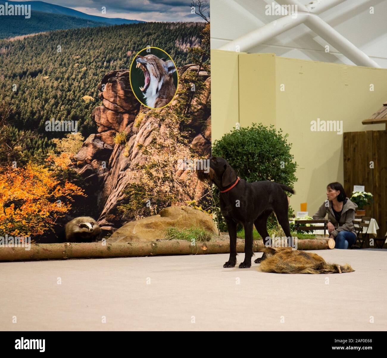 Impressioni di hunt fiera di Hannover bassa Sassonia Germania il 6 dicembre 2019 Foto Stock