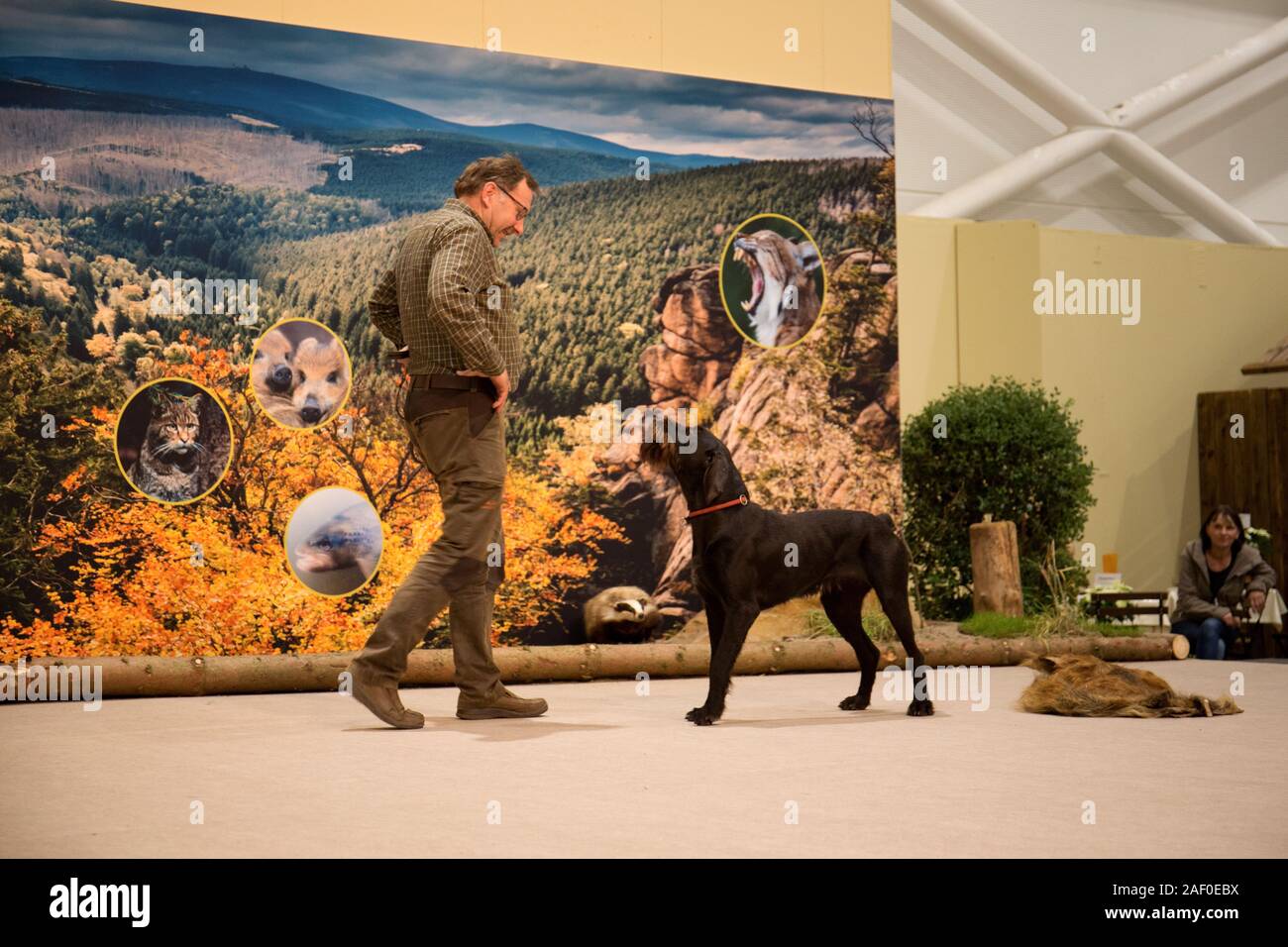 Impressioni di hunt fiera di Hannover bassa Sassonia Germania il 6 dicembre 2019 Foto Stock