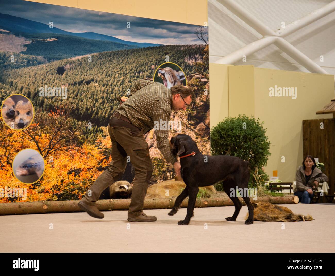 Impressioni di hunt fiera di Hannover bassa Sassonia Germania il 6 dicembre 2019 Foto Stock