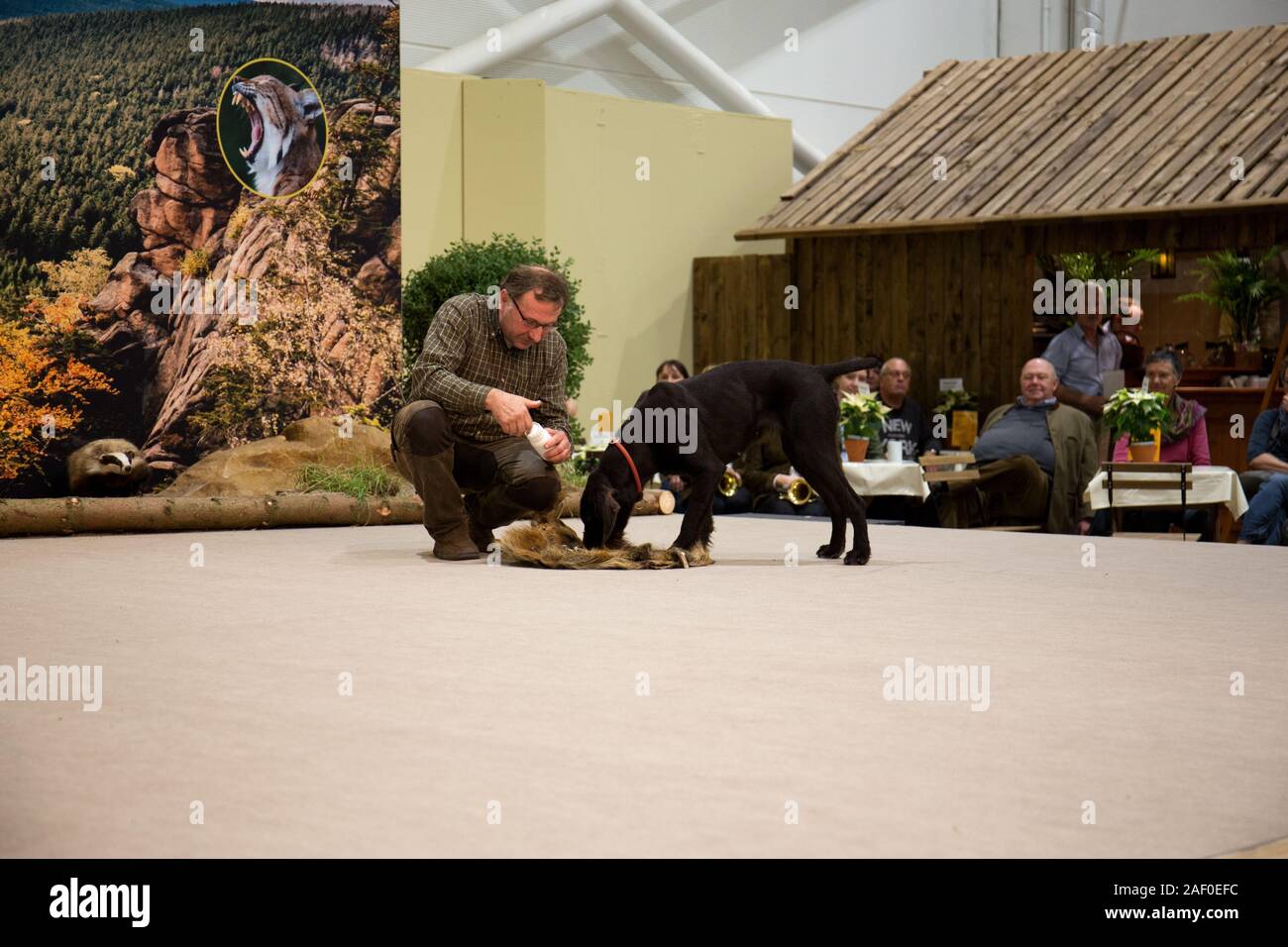 Impressioni di hunt fiera di Hannover bassa Sassonia Germania il 6 dicembre 2019 Foto Stock
